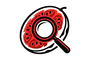薛平贵与王宝钏全集 - 吃瓜社Logo